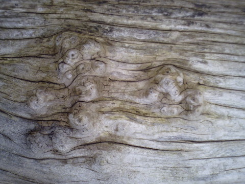 Bild5