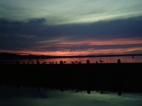 Bild8