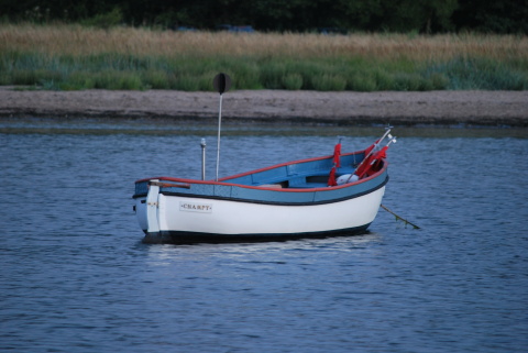 Bild46